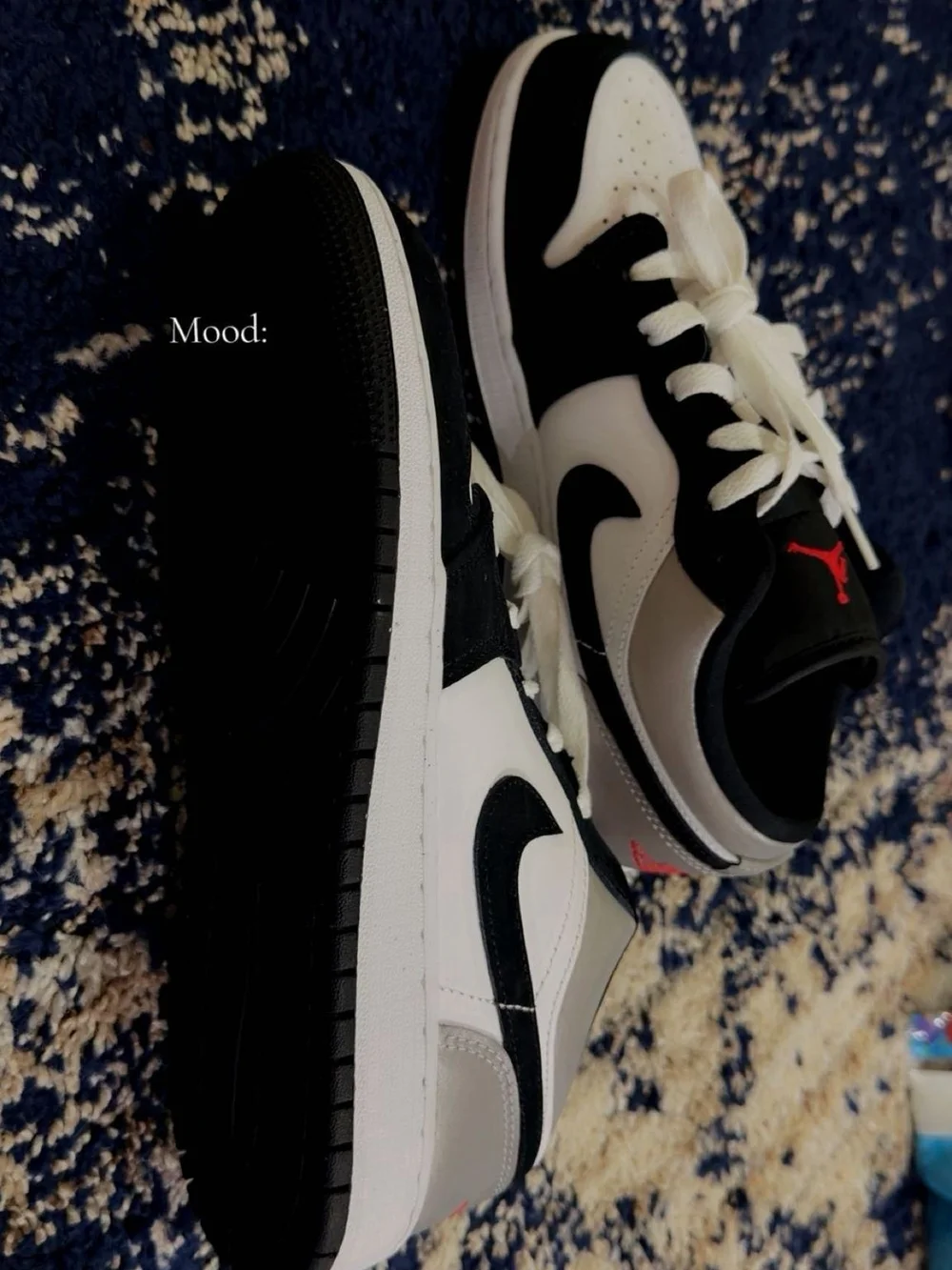 Jordan Se 1 Low Panda Toe